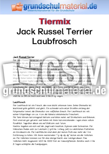 Jack Russel Terrier - Laubfrosch.pdf